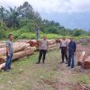 Telah Ditemukan Tumpukan Kayu Log di Desa Kuntu Darussalam Kec. Kampar Kiri