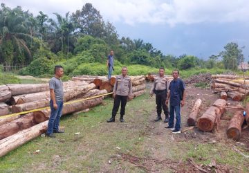 Telah Ditemukan Tumpukan Kayu Log di Desa Kuntu Darussalam Kec. Kampar Kiri