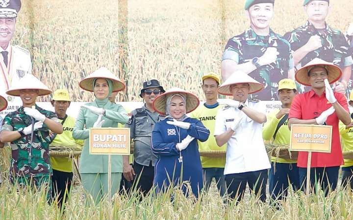 Bupati Afrizal Sintong Hadiri Panen Raya Padi Binaan Kodim 0321 Rohil