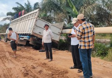 Koordinasi Bupati, PT Jatim Bantu Pemkab Rohil Perbaiki Jalan Lintas Kubu yang Rusak Parah