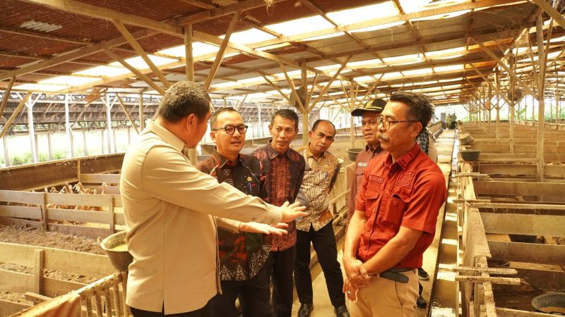 Tertarik Dengan Peternakan di Kampar, Pj Bupati Kampar Terima Kunjungan Pemkab Bungo Jambi