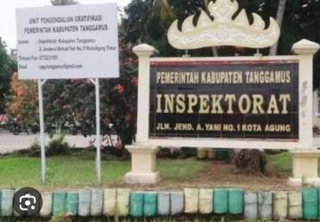 Anggota BHP Pekon Ampai Bantah Pernyataan Sekertaris Inspektorat Dugaan Pungli BLT DD Yang Sudah Hasil Musdes