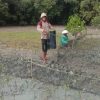 Cegah Abrasi Pantai, KBR Tunas Berundung Berseri Tanam Mangrove 40 Ribu Batang Program Dari BPDAS-WSWS