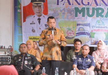 Tinjau Gerakan Pangan Murah di Maharatu, Pj Wali Kota Pekanbaru: Ini Upaya Pemko Sediakan Pangan Murah