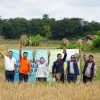 Pembangkit Listrik Tenaga Surya Irigasi Bukit Asam Dukung Pertanian Berkelanjutan