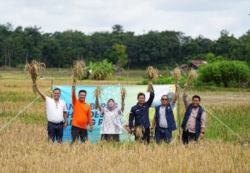 Pembangkit Listrik Tenaga Surya Irigasi Bukit Asam Dukung Pertanian Berkelanjutan