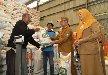 Wabup Bengkalis Pastikan Stok Beras Aman, Menjelang Pemilu dan Menyambut Bulan Suci Ramadhan 1445H