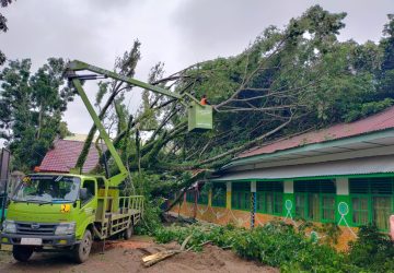 Kolaborasi TIM Sinergi Bersama Evakuasi Satu Pohon Besar Tumbang dan Kabal Listrik di Samping Masjid Jami’anur