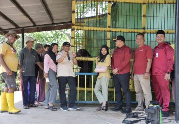 Wakil Bupati Bengkalis Kagum Melihat Beruang Madu di Kebun Binatang Pantai Indah Selatbaru