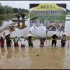Gerakan Tanam Padi Serentak 3000 Ha, Dalam Rangka Ketahananan Pangan Nasional