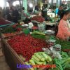 Harga Cabai Merah di Bengkalis Mengalami Kenaikan 75 Ribu Per Kilogram