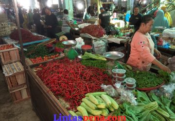 Harga Cabai Merah di Bengkalis Mengalami Kenaikan 75 Ribu Per Kilogram