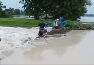Tanggul Jebol Karena Hujan Semalaman, Ratusan Hektar Sawah Serta Rumah di Kec. Ketapang Terendam Banjir