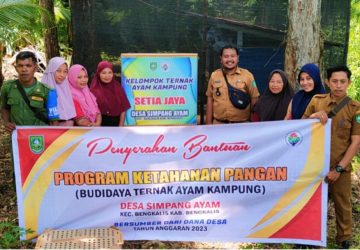 6 Kelompok Ternak Ayam Kampung Laksanakan Program Ketahanan Pangan