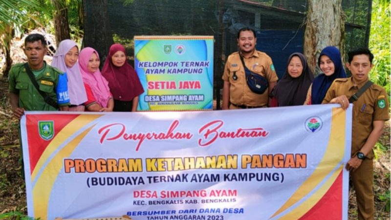 6 Kelompok Ternak Ayam Kampung Laksanakan Program Ketahanan Pangan
