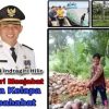 Pj. Bupati Herman Berhasil Meningkatkan Harga Komoditas Kelapa di Kabupaten Inhil