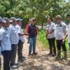 Pj Bupati Tanggamus dan Kadis BMBK Provinsi Lampung, Kembali Tinjau Jalan Provinsi di Kelumbayan