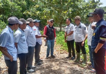 Pj Bupati Tanggamus dan Kadis BMBK Provinsi Lampung, Kembali Tinjau Jalan Provinsi di Kelumbayan