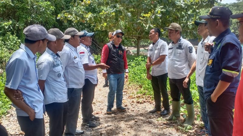 Pj Bupati Tanggamus dan Kadis BMBK Provinsi Lampung, Kembali Tinjau Jalan Provinsi di Kelumbayan