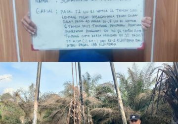 Pemilik Sumur Minyak Ilegal Yang Terbakar di Keban 1 Diringkus Polisi
