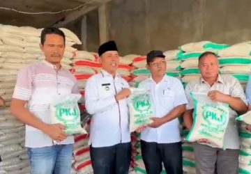 Kunjungan Pj Bupati Inhil Dikilang Padi Kelurahan Kempas Inhil Program Ketahanan Pangan 2024