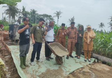 Pemdes Tridarmayoga Kembali Lanjutkan Pembangunan Jalan Pertanian di Gg. Kakao