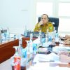 PJ Bupati Sandi Fahlepi Ikuti langsung Rakor Pengendalian Inflasi 2024