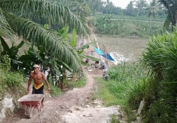 Dukung Ketahanan Pangan, Pemdes Kedaung Bangun Talud Jalan Usaha Tani