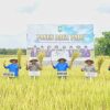Panen Raya Padi di Desa Laksamana, Bupati Alfedri Serahkan 16 Unit Mesin Pompa Air dan 1 Cultivator