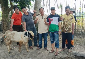 DPD MIO Indonesia Kab&nbsp; Muara Enim Dapat&nbsp; Bantuan Satu Ekor Hewan Qurban dari PTBA Tbk