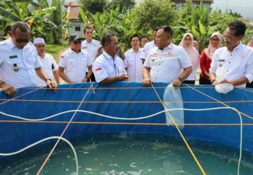 Bupati Lamsel Apresiasi Budidaya Benur dan Udang Vaname di Desa Way Muli