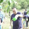 Green Mining, Bukit Asam Tanam Pohon Bersama di Lahan Bekas Tambang