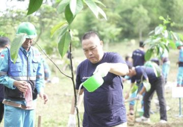 Green Mining, Bukit Asam Tanam Pohon Bersama di Lahan Bekas Tambang