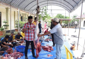 Rayakan Idul Adha 1445 H, Setwan DPRD Bengkalis Laksanakan Pemotongan Hewan Qurban