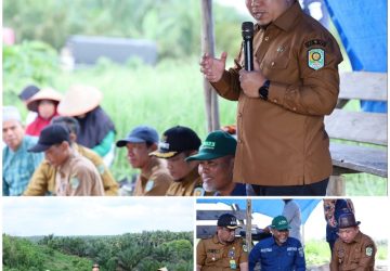 Posisi Harga Sedang Mantap, Petani Semangka Tasik Seminai Raup Untung