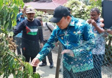 Kampung Pangkalan Makmur: Surga Buah Kelengkeng di Siak