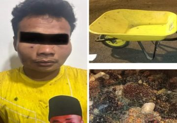 Tak Berkutik Ketika Ditangkap Pemilik Kebun Sawit, Pelaku DY Telah di Serahkan Ke Polsek Keluang