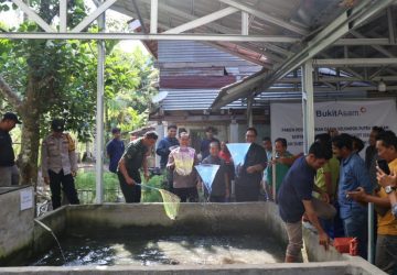 Perluas Lapangan Kerja, PTBA Dorong Budidaya Ikan Gabus di Desa Tanjung Agung