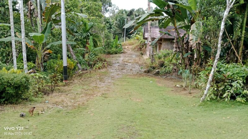 Warga Desa Tuhegeo II Menjadi Saksi Bisu Sejak 79 Tahun RI Merdeka, Akses Jalan di Biarkan Tak Teraspal