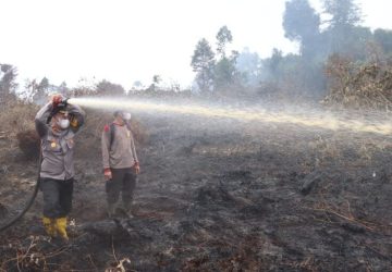 Tim Gabungan Polres Inhu Kendalikan Kebakaran di Pulau Gelang, 4 Helikopter Waterbombing Dikerahkan