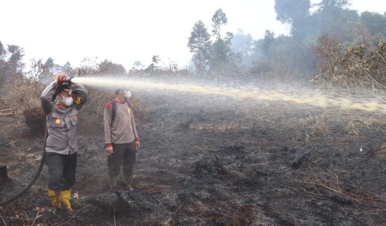 Tim Gabungan Polres Inhu Kendalikan Kebakaran di Pulau Gelang, 4 Helikopter Waterbombing Dikerahkan