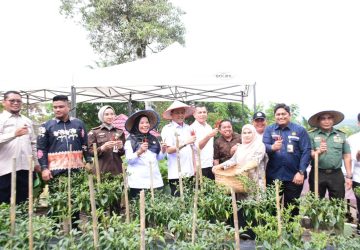 Kendalikan Inflasi, Pj Bupati Kampar Panen Cabe, Apresiasi Kerjasama Kampar Aneka Karya dengan PT. PHR