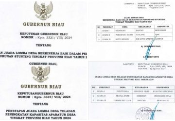 Dua Desa di Bengkalis Terima Penghargaan PKAD dan Penurunan Stunting Dari Gubernur Riau