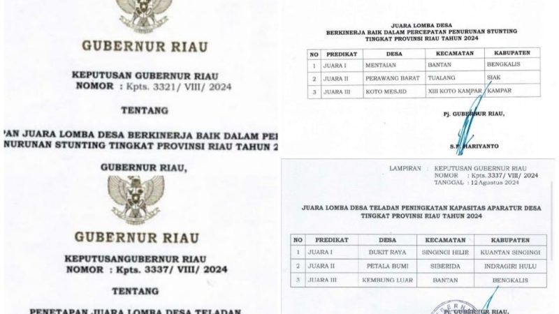 Dua Desa di Bengkalis Terima Penghargaan PKAD dan Penurunan Stunting Dari Gubernur Riau