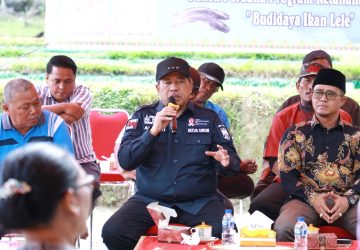 Bupati Alfedri Panen Perdana Budidaya Ikan Lele Di Dayun