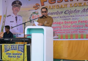 Meriahkan HUT Kemerdekaan RI Ke-79, Pemkab Rohil Adakan Lomba Pawai Karnaval