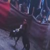 Warga Wates Desa Kupang Minta Polsek Jetis Tertibkan Perjudian Jenis Sabung Ayam