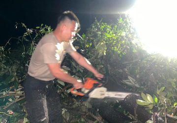 Dit Samapta Polda Kepri Evakuasi Pohon Tumbang Akibat Hujan Disertai Angin Kencang di Kota Batam