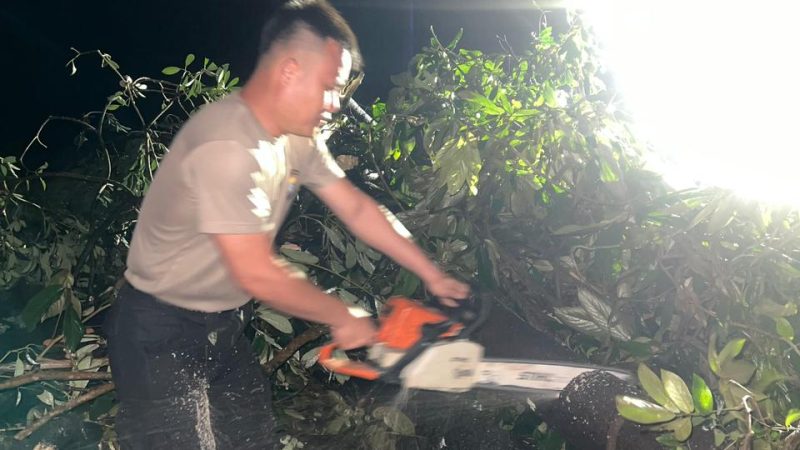 Dit Samapta Polda Kepri Evakuasi Pohon Tumbang Akibat Hujan Disertai Angin Kencang di Kota Batam