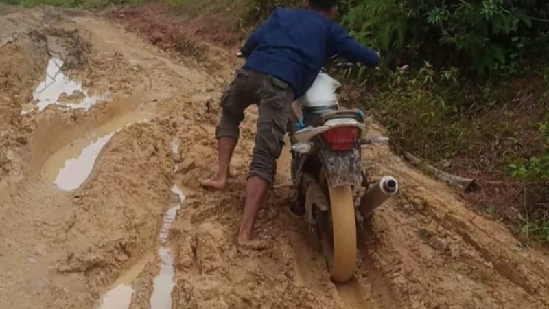 Jalan Rusak Parah dan Berlumpur, Lokasi UPT Lubuk Pusaka Terancam Terisolir